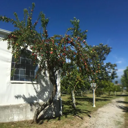 Quinta Do Sol *