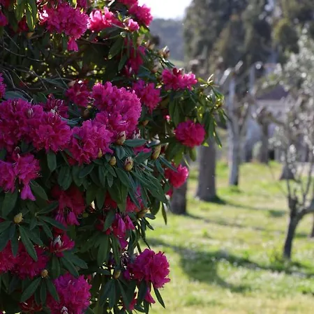 Quinta Do Sol * Entre-os-Rios